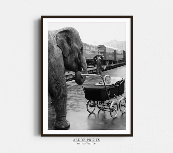 Elephant Pushing Baby Carriage Vintage Circus Train Black And White Photo Poster