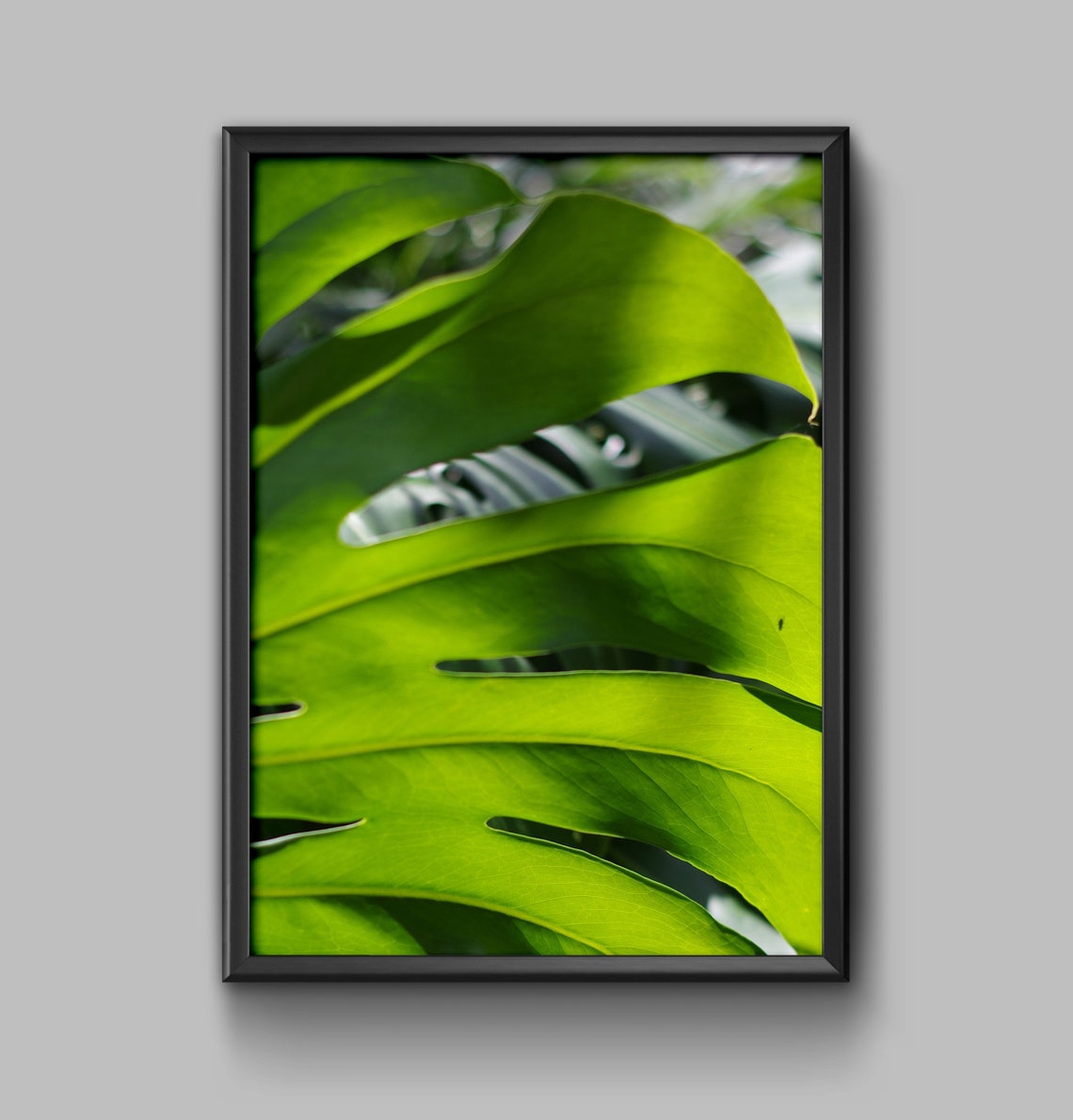 Monstera Leaf Close Up Green Tropical Plant Photography Poster - Image 2