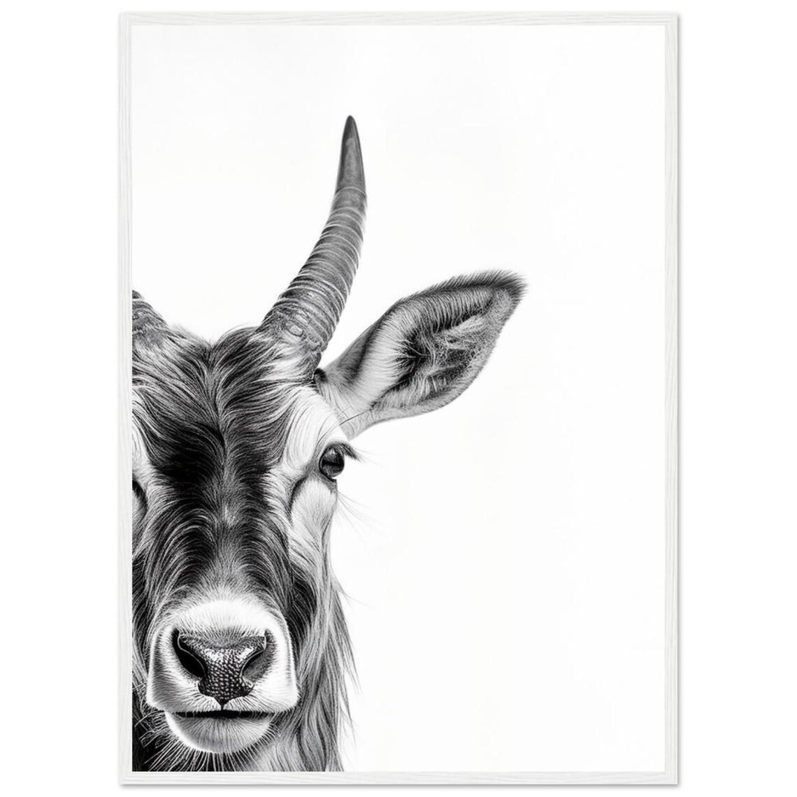 Peeking Antelope Close-Up Black and White Safari Wildlife Poster - Image 3