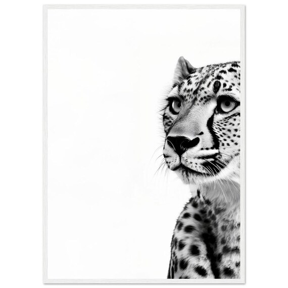 Peeking Cheetah Close-Up Black and White Spotted Big Cat Poster