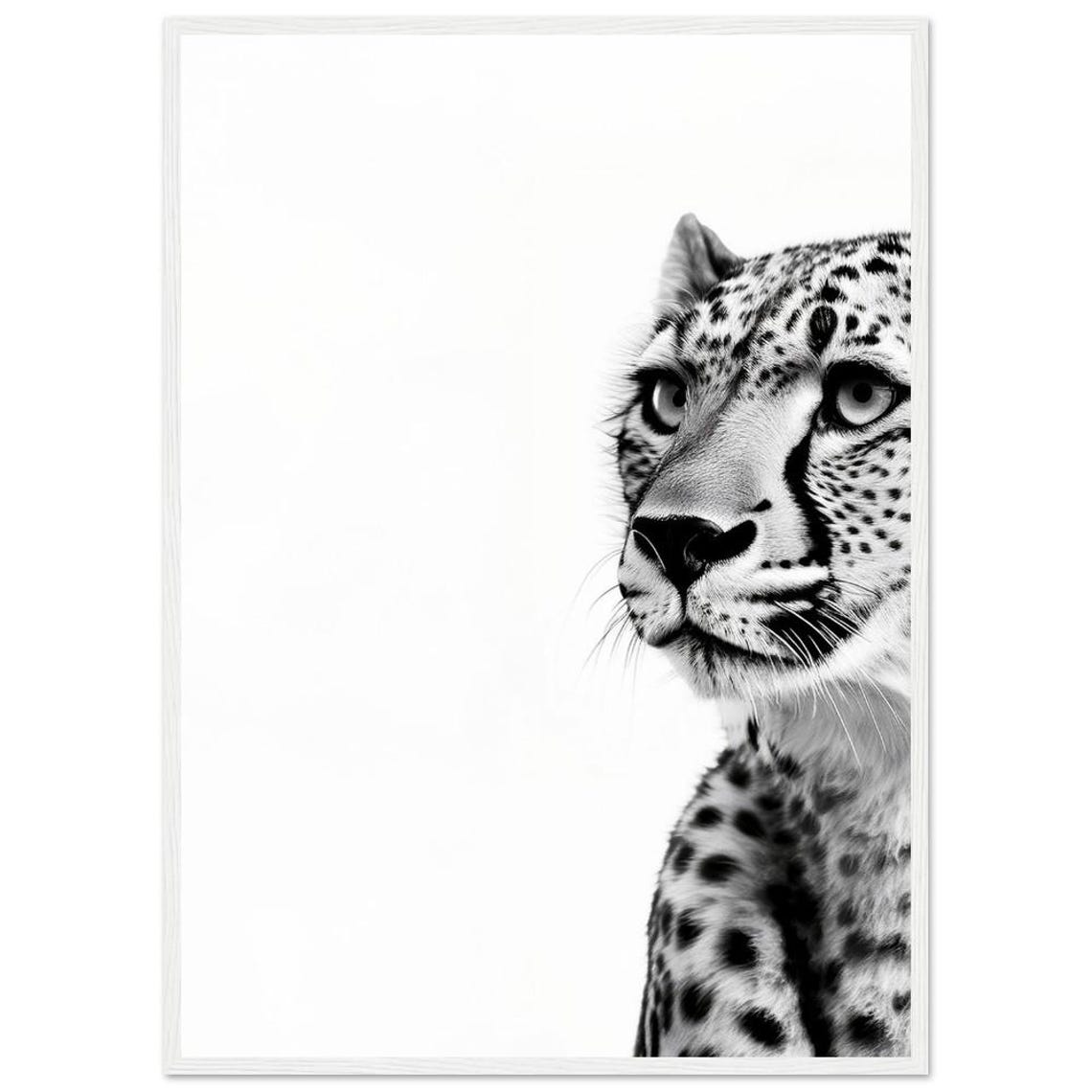 Peeking Cheetah Close-Up Black and White Spotted Big Cat Poster