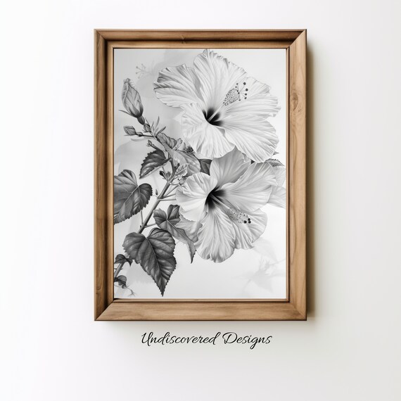 Vintage Hibiscus Sketch Art Print Botanical Pencil Drawing