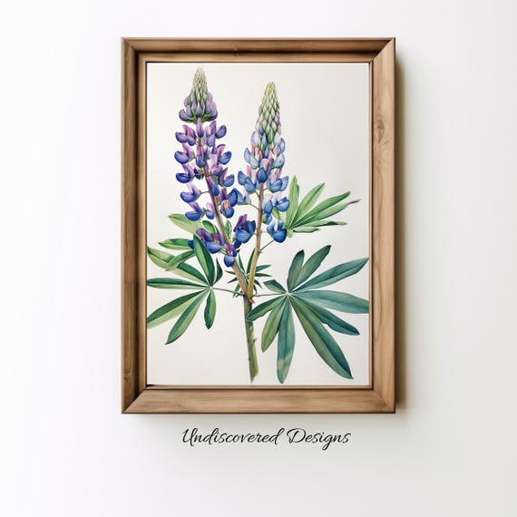 Lupin Botanical Art Print Vintage Floral Oil Painting