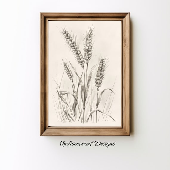 Wheat Botanical Sketch Art Print Vintage Pencil Drawing