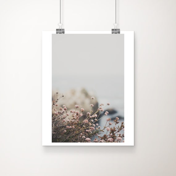 Point Lobos Print Seaside Buckwheat Botanical Photograph Big Sur