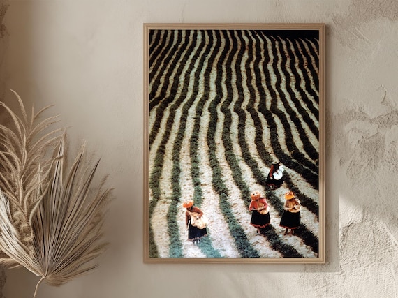 Peru Andes Women Harvesting Wavy Crop Rows Aerial Vintage Poster