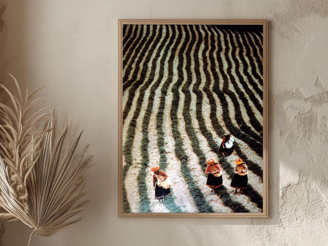 Peru Andes Women Harvesting Wavy Crop Rows Aerial Vintage Poster