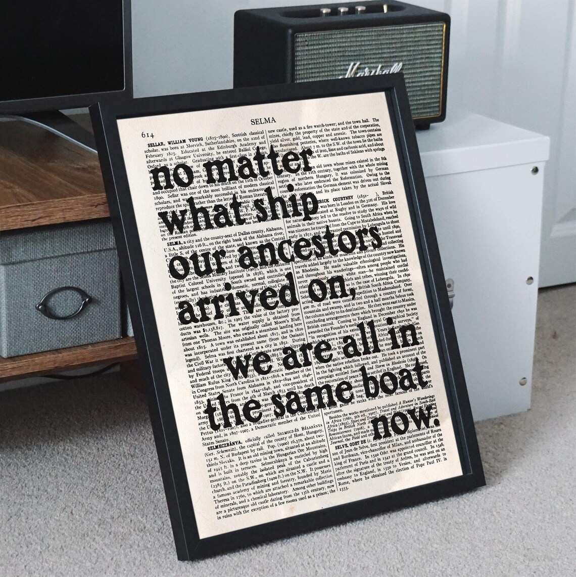 No Matter What Ship Our Ancestors Arrived On Same Boat Quote Poster - Image 3