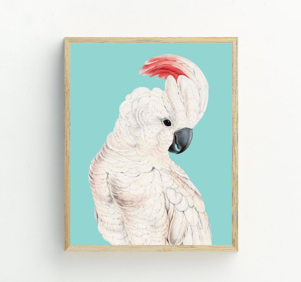 Cockatoo Bird Wall Art, Tropical Bird Poster