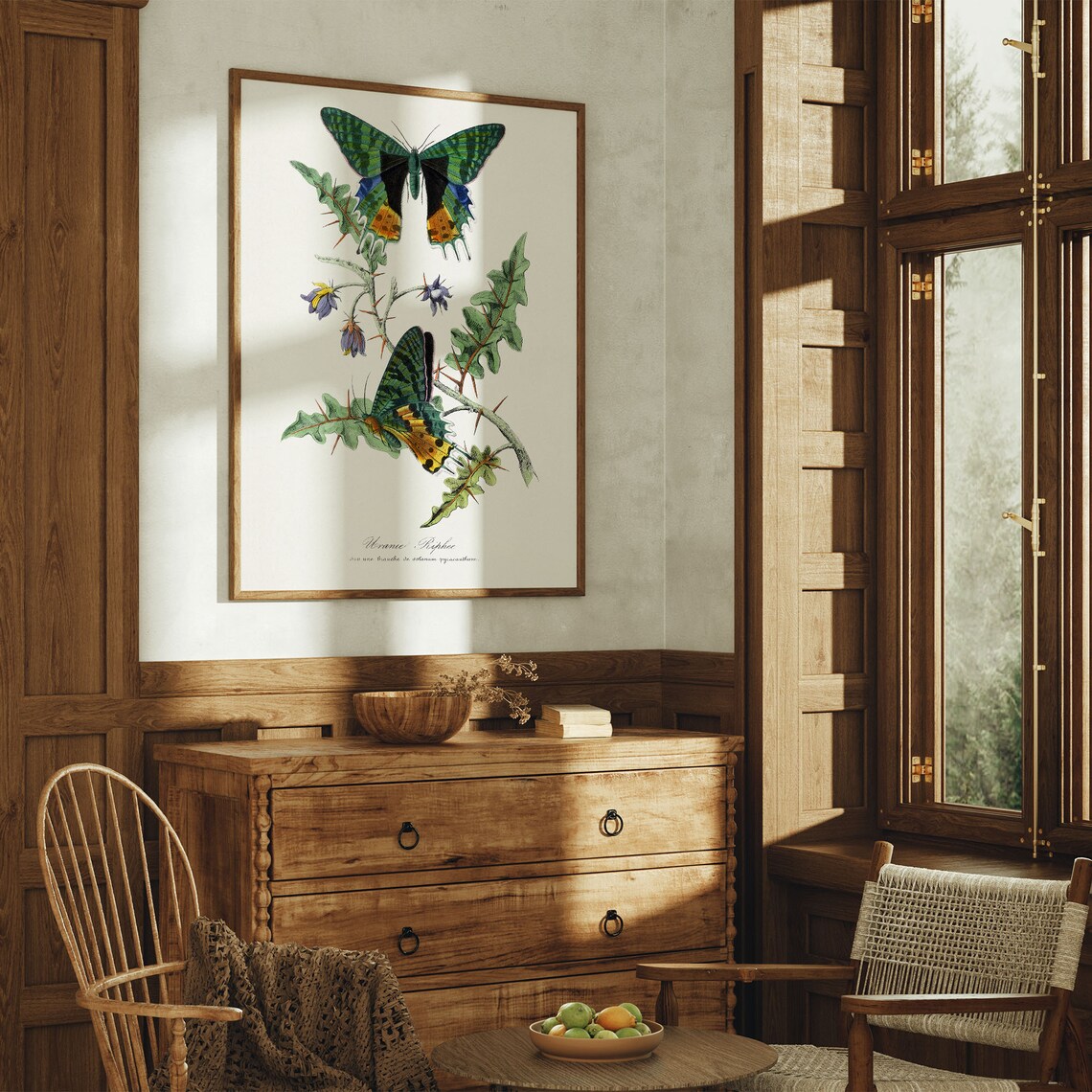 Vintage Butterfly Botanical Illustration Entomology Wall Poster - Image 7