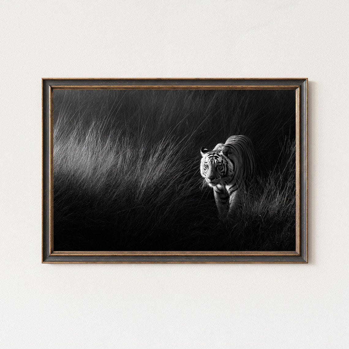 White Tiger In Tall Dark Grass Black And White Wildlife Poster
