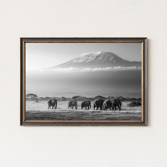 Elephant Herd Mount Kilimanjaro Safari Black and White Poster