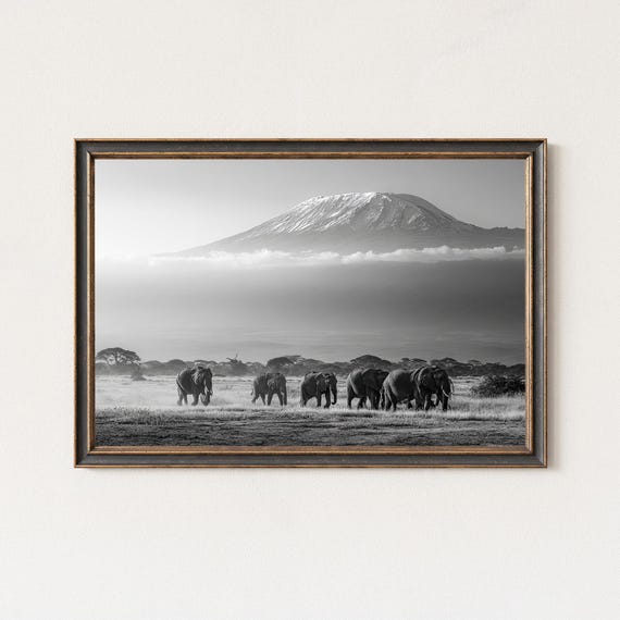 Kilimanjaro Elephants Black And White Photography Print African Landscape Wall Art