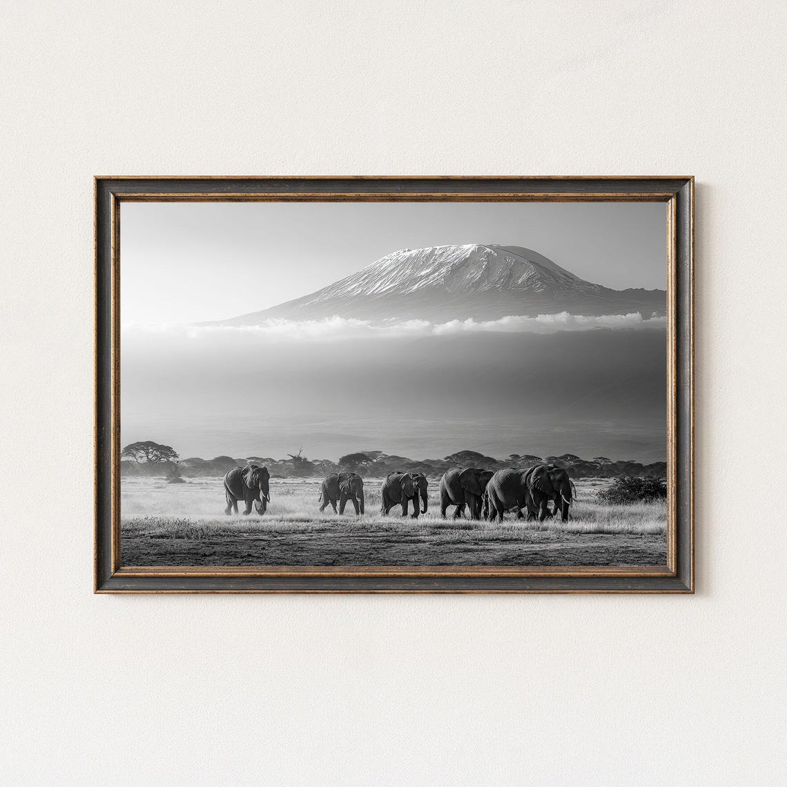 Elephant Herd Mount Kilimanjaro Safari Black and White Poster