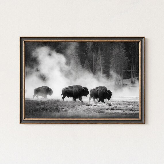 Black And White Bison Print Misty Western Landscape Wall Art