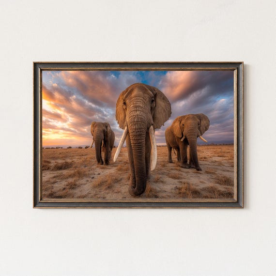 African Elephants Photography Wildlife Safari Wall Art Print