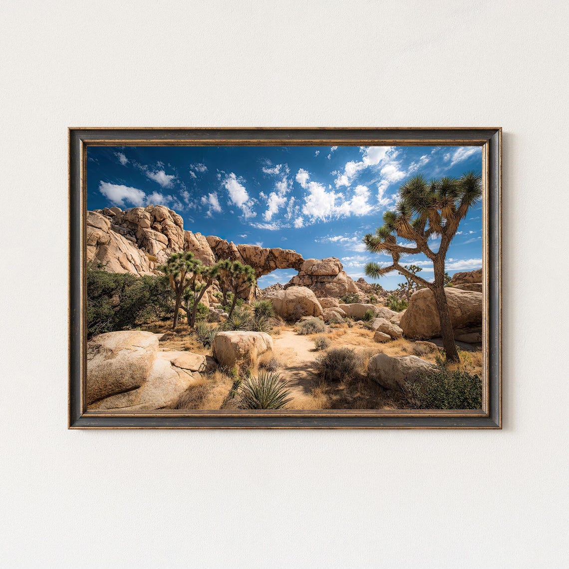 Joshua Tree Arch Rock With Desert Plants Blue Sky Nature Photo Poster