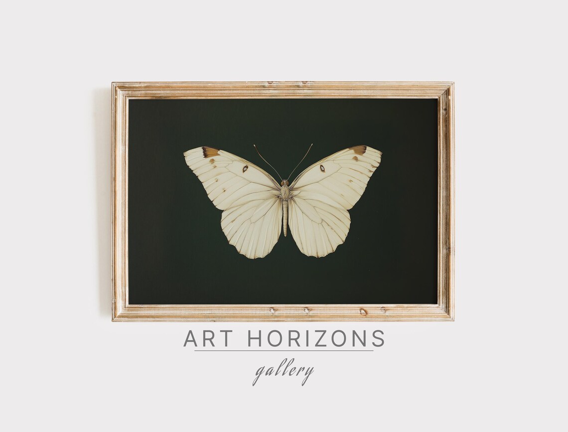 White Butterfly Dark Green Moody Background Antique Insect Wall Poster