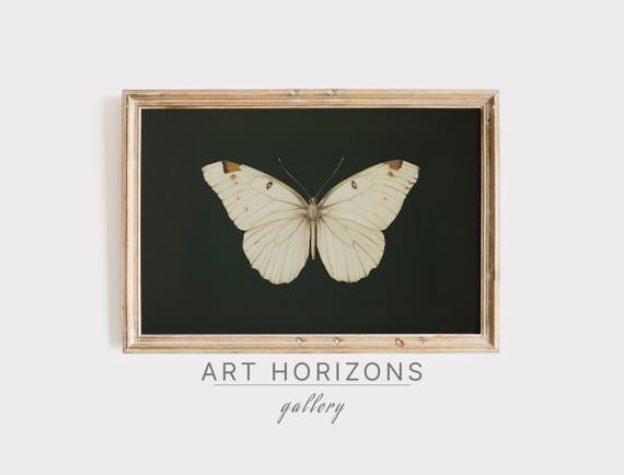 Vintage White Butterfly Print Dark Moody Insect Art Cottagecore Green Home Decor Antique Moth Painting Wall Art A404