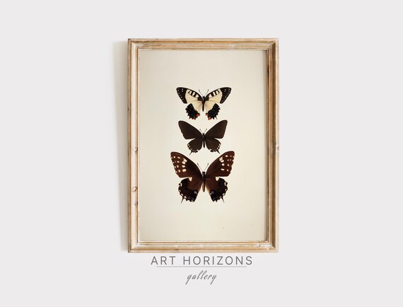 Vintage Butterfly Art Print, Cottagecore Neutral
