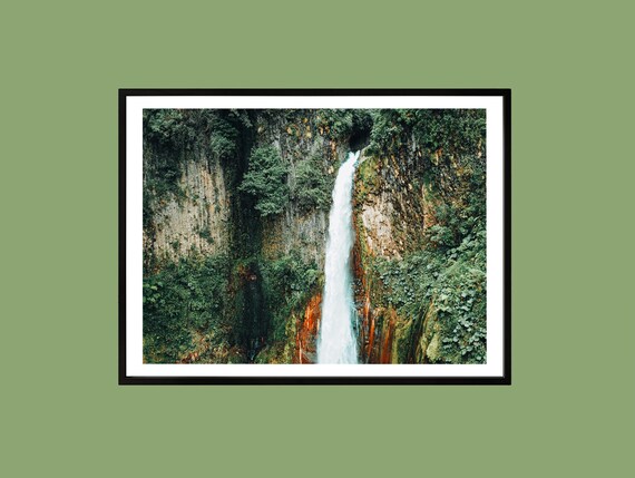 Rainforest Waterfall Photography Print Tropical Vertical Landscape