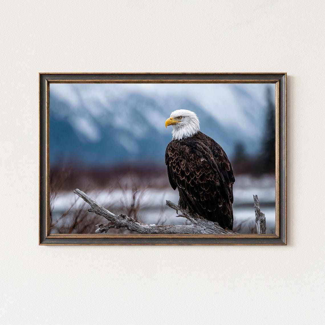 Majestic Bald Eagle Perched Snowy Mountain Wildlife Photography Poster