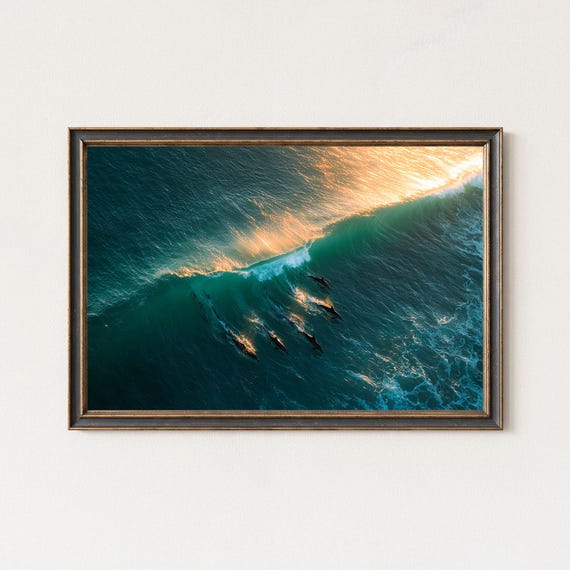 Aerial Dolphin Photography Surfing Dolphins In Golden Sunset Waves