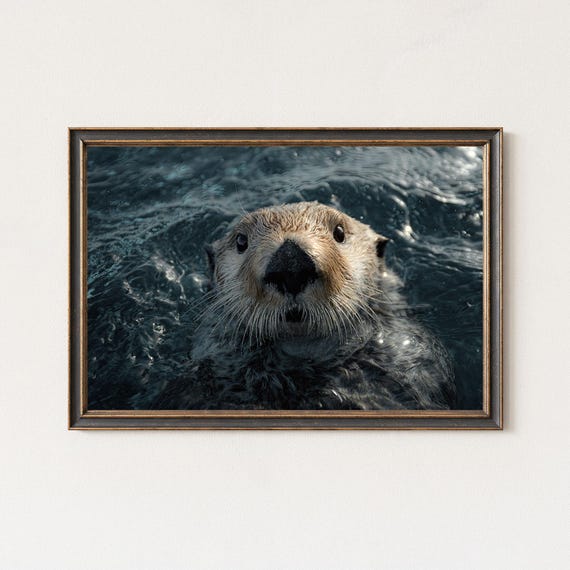 Sea Otter Photography Print Ocean Wildlife Wall Art