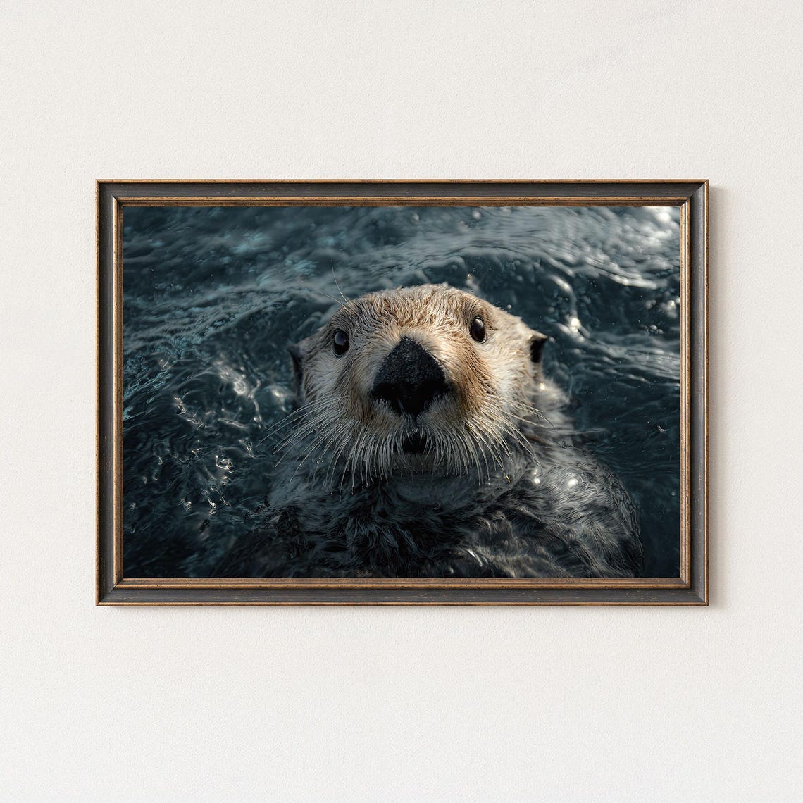 Sea Otter Swimming Close Up Playful Ocean Wildlife Photo Poster