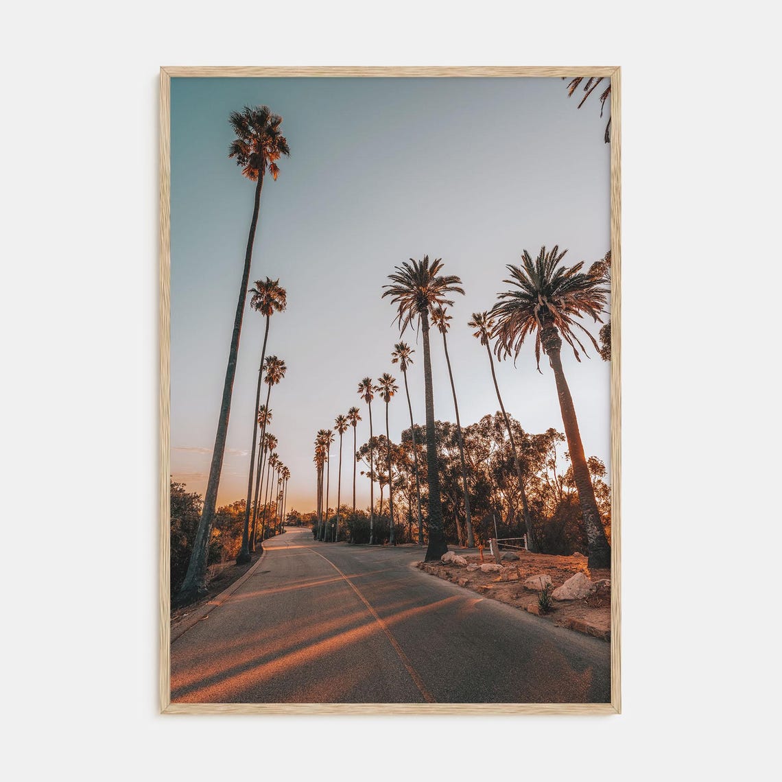 Palm Tree Lined Road Glowing in the Golden Hour Sunset Poster