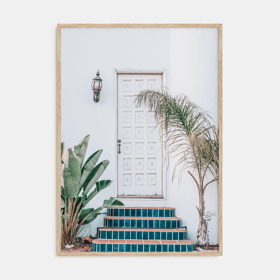 White Door Teal Tile Steps Poster Palm Plants Minimal Photo Art
