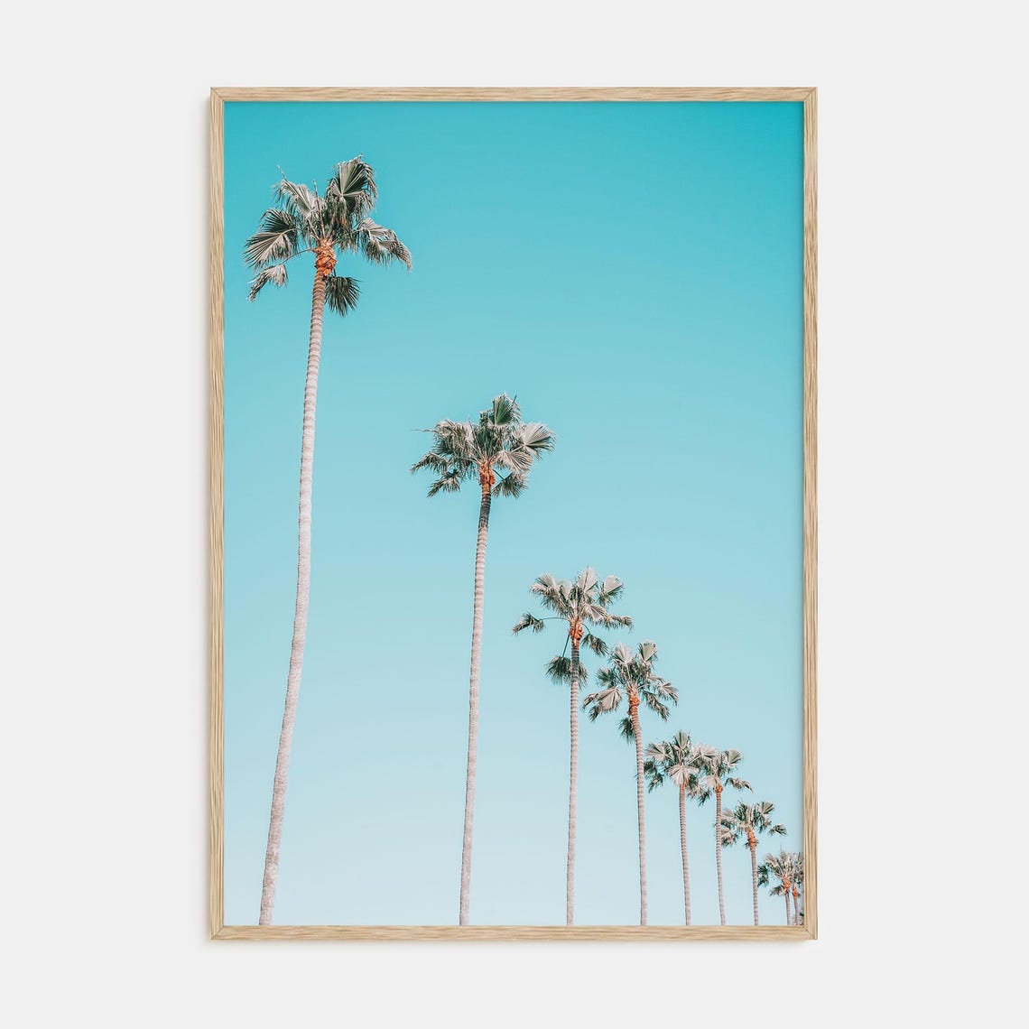 Tall Palm Trees Lined Up Against a Bright Turquoise Sky Poster