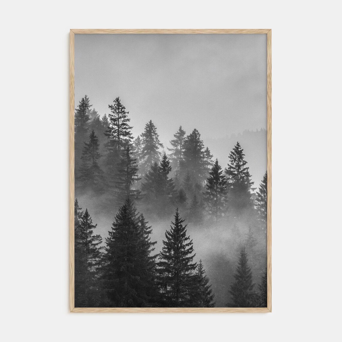 Misty Pine Forest in Fog Black and White Nature Photography Poster