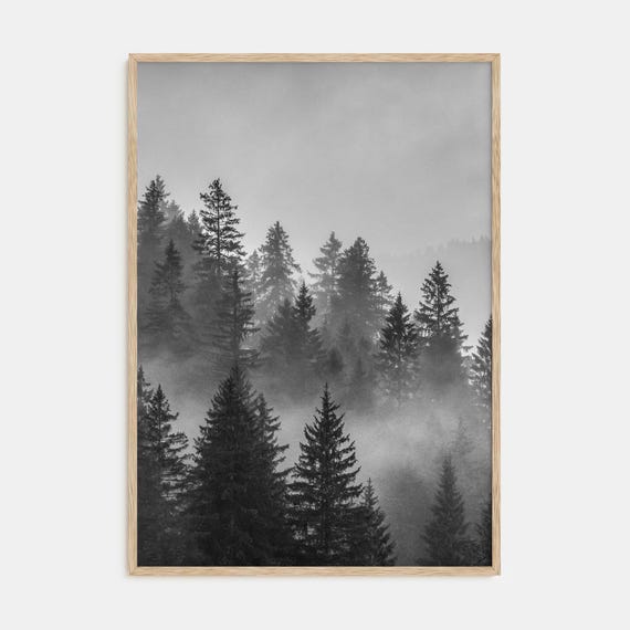 Cloudy Forest Print Fine Art Black White Photography Poster Minimalist Wall Art Nature Landscape Decor Home Office Gallery