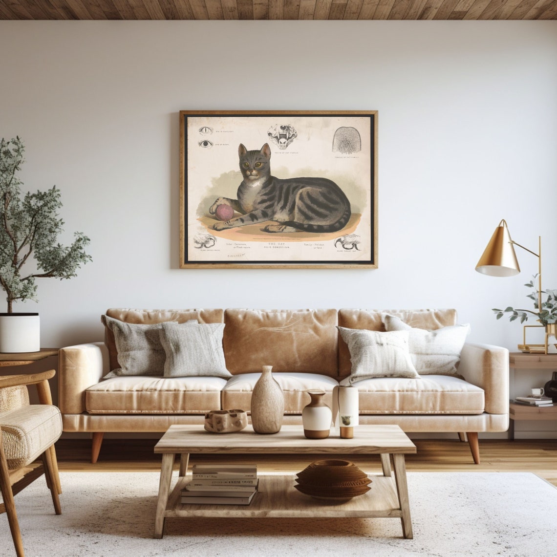 Antique Vintage Cat Encyclopedia Natural History Tabby Plate Poster
