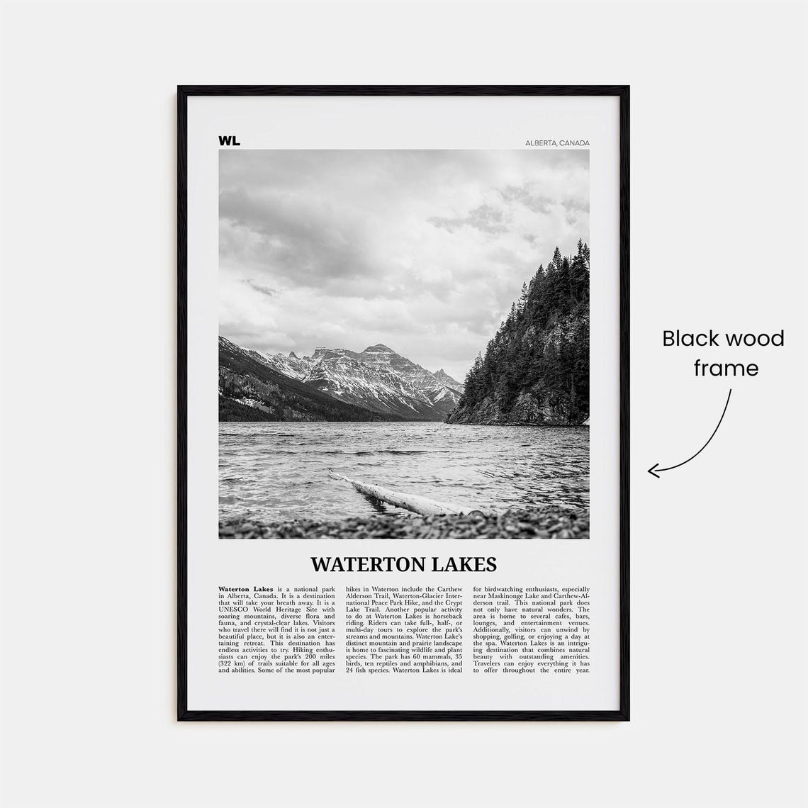 Waterton Lakes National Park, Black And White Art Print - Image 3