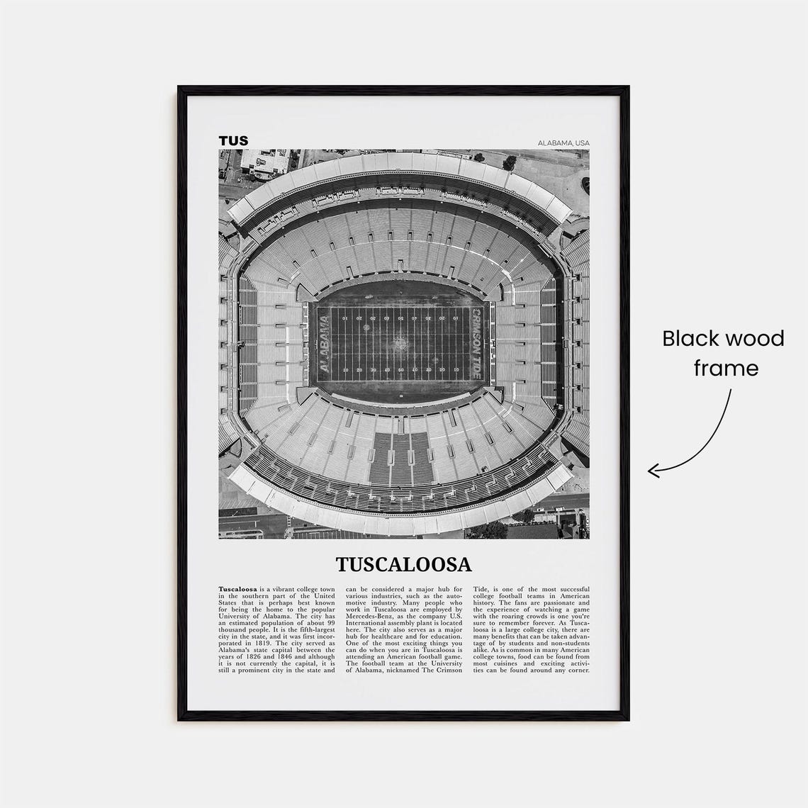 Tuscaloosa Black And White Travel Poster - Image 3