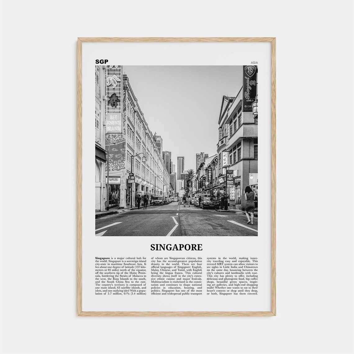 Singapore Black And White No. 2 Travel Poster