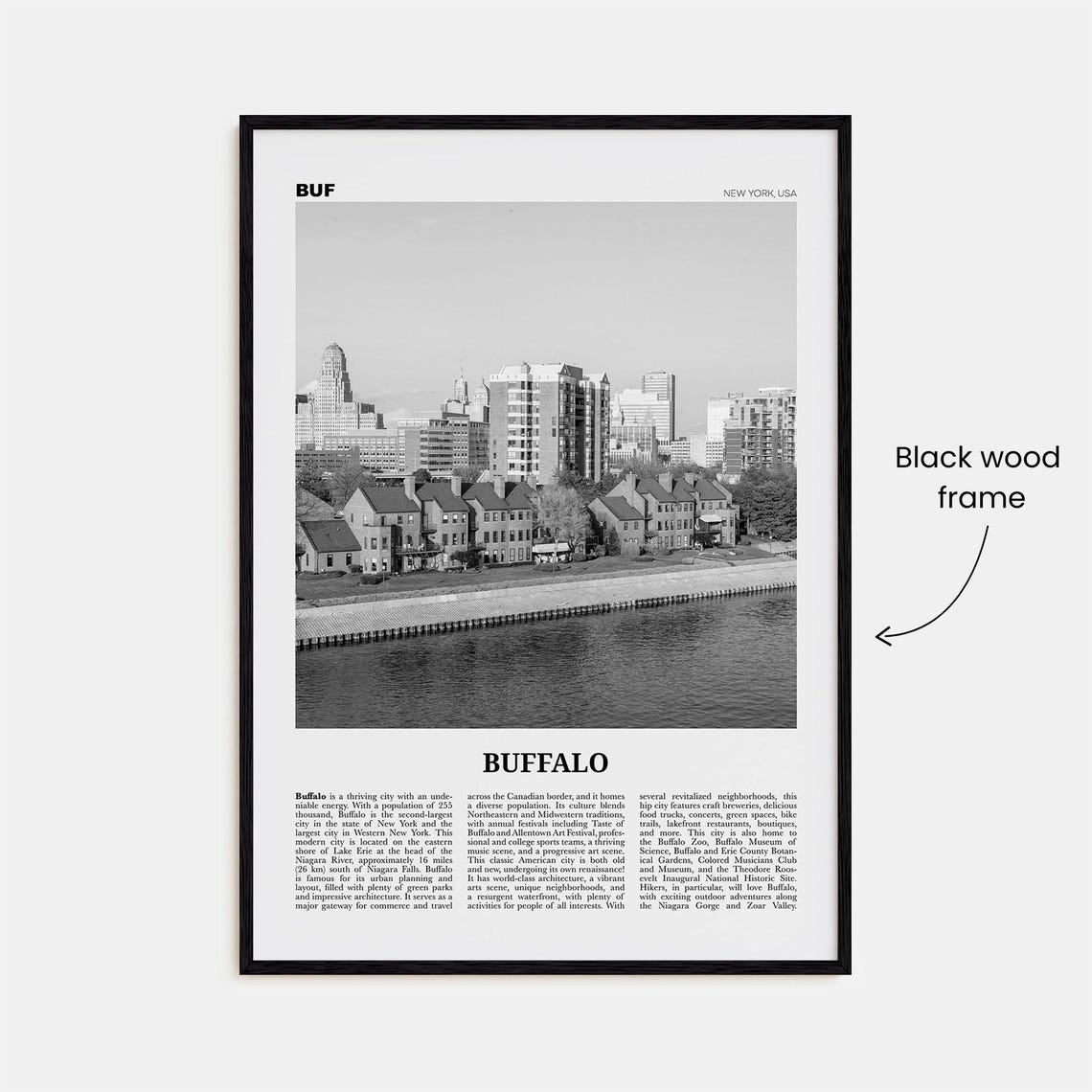 Buffalo Print Black And White No 2 Buffalo Wall Art Buffalo Poster Buffalo Photo Buffalo Decor New York Usa United States America - Image 3