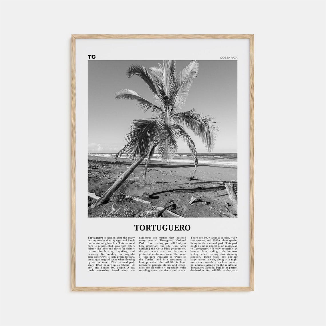Tortuguero Print Black And White Tortuguero Wall Art Tortuguero Poster Tortuguero Photo Tortuguero Wall Dcor Costa Rica