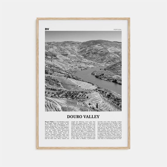Douro Valley Black and White Travel Poster, Portugal
