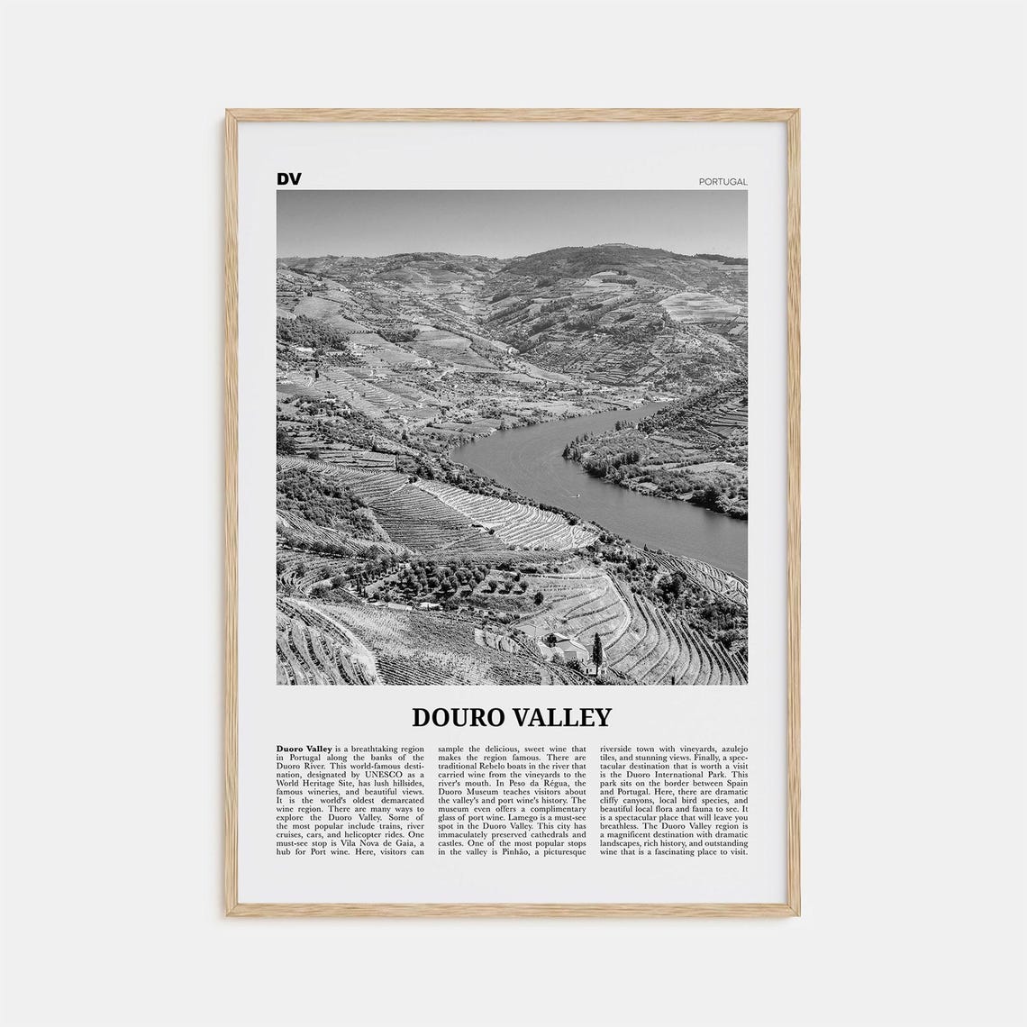 Douro Valley Black and White Travel Poster, Portugal