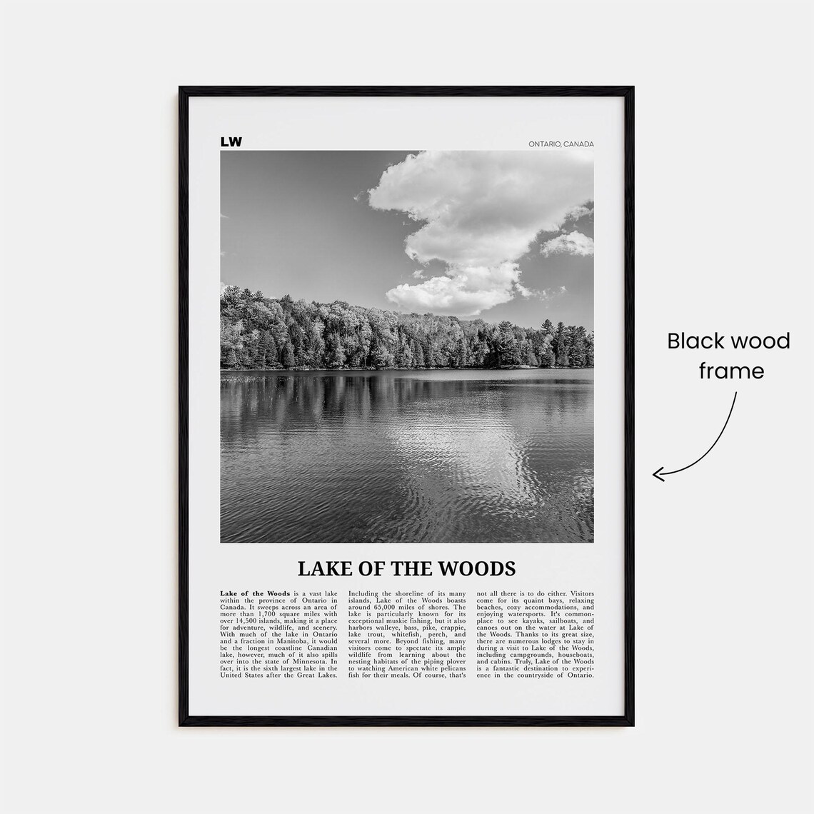 Lake Of The Woods Black And White Art Print - Image 3