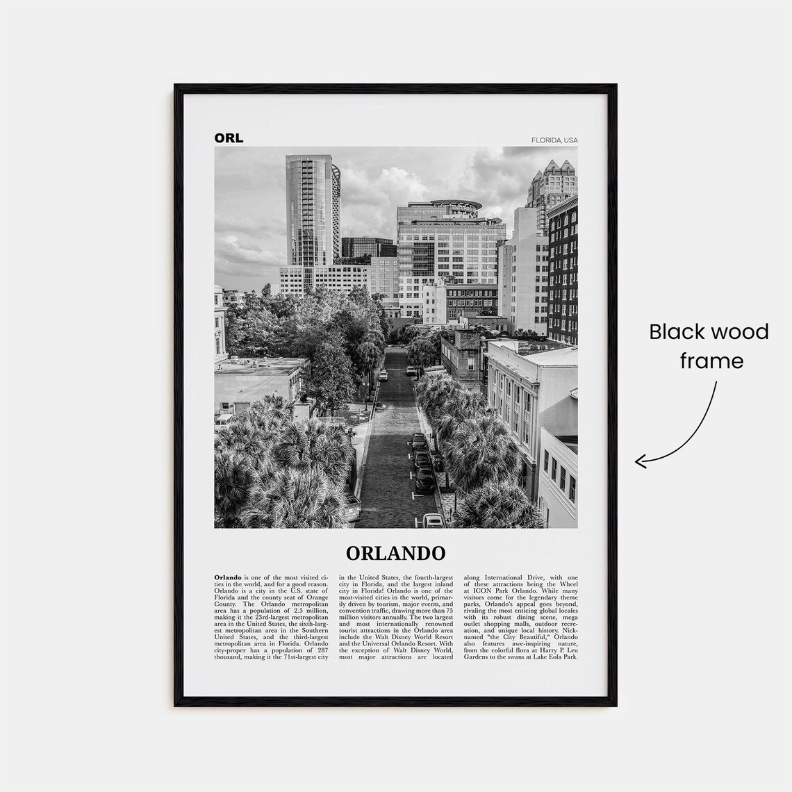 Orlando Florida Black And White No. 3 Travel Poster - Image 3