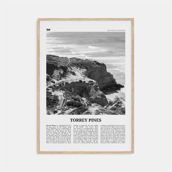 Torrey Pines Black and White Travel Poster, San Diego
