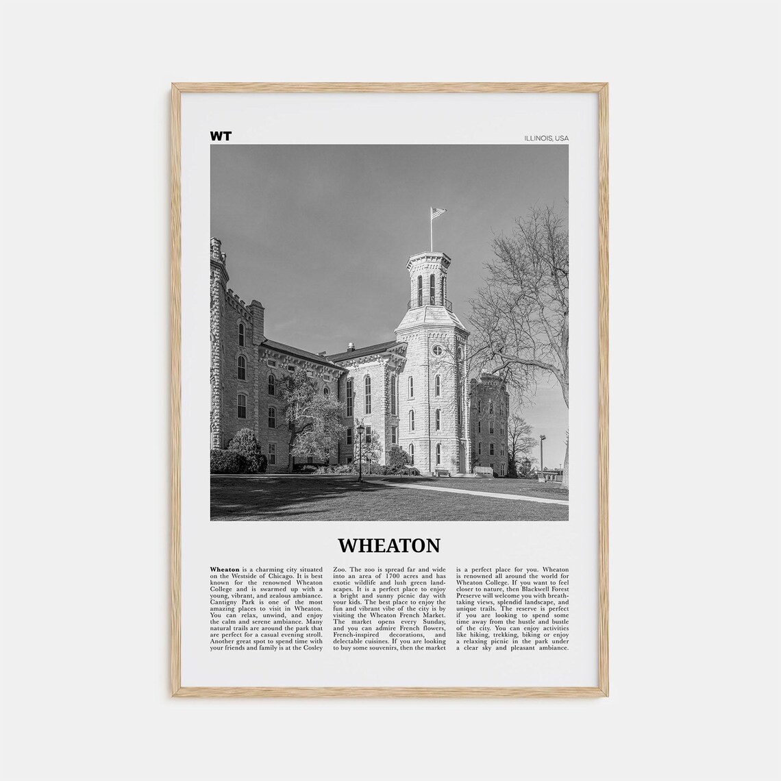 Wheaton, Illinois Black and White Map Art Print