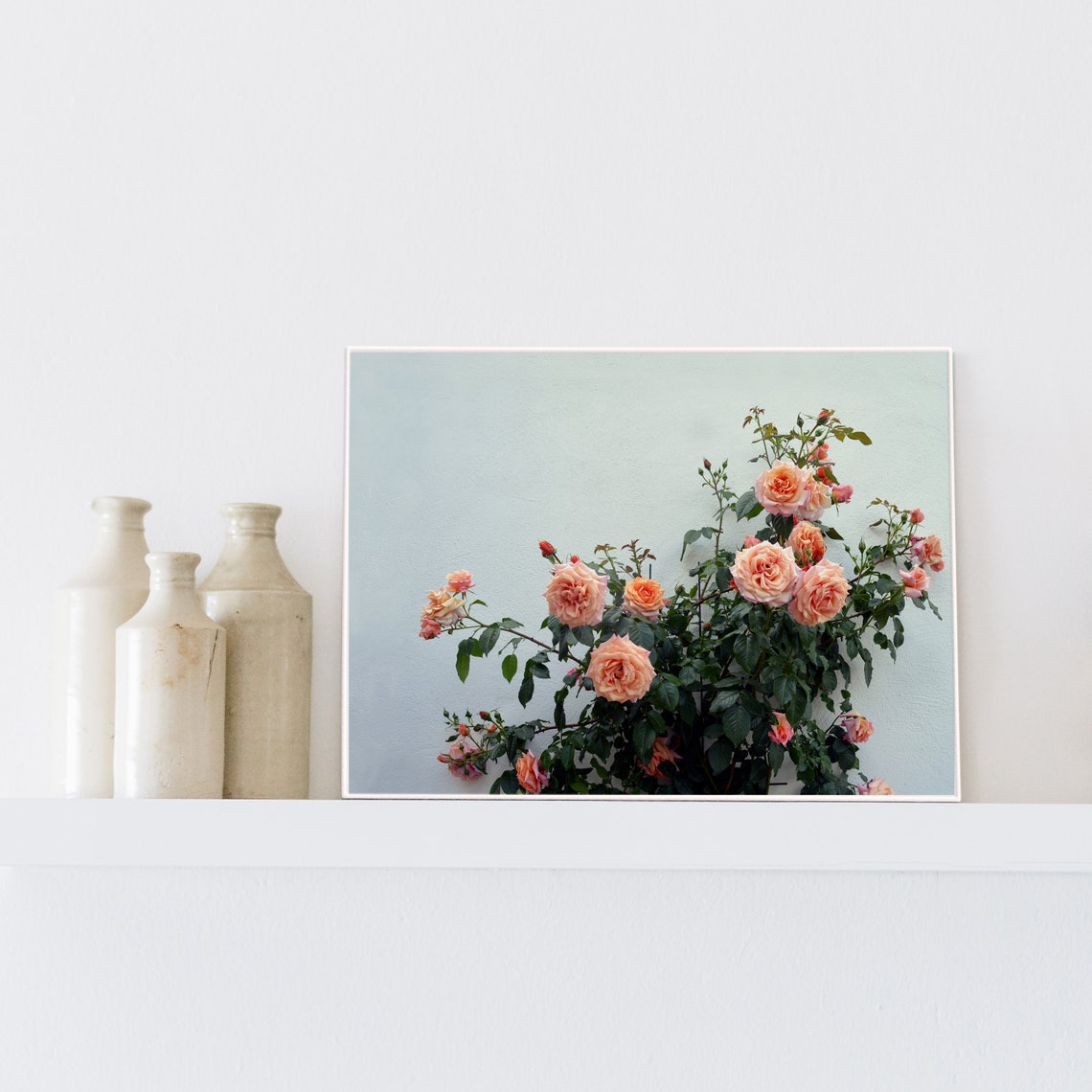 Pink Roses Floral Photography Botanical Art Print - Image 2
