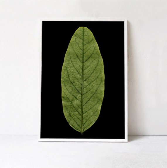 Green Leaf Print, Botanical Wall Art Print