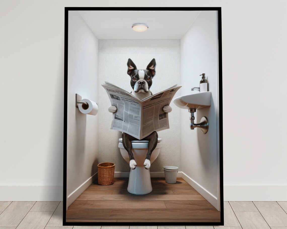 Boston Terrier Reading Newspaper Funny Bathroom Poster