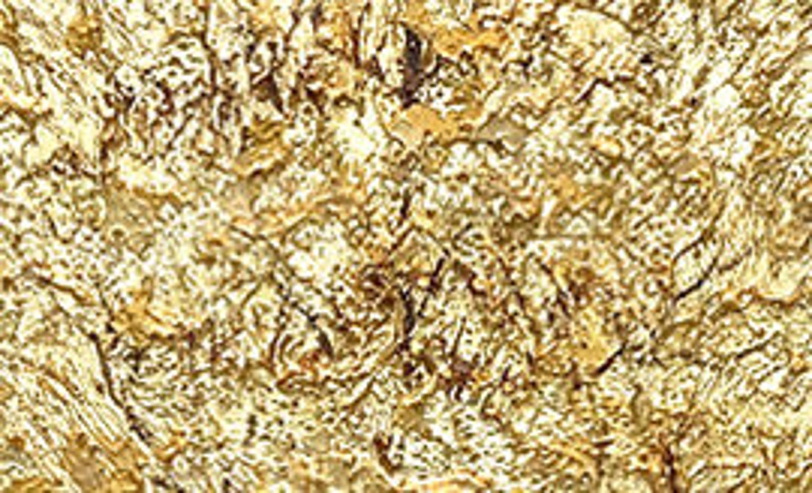 Radiant Golden Tree of Life with Gold Leaf on Silver Texture Poster - Image 5